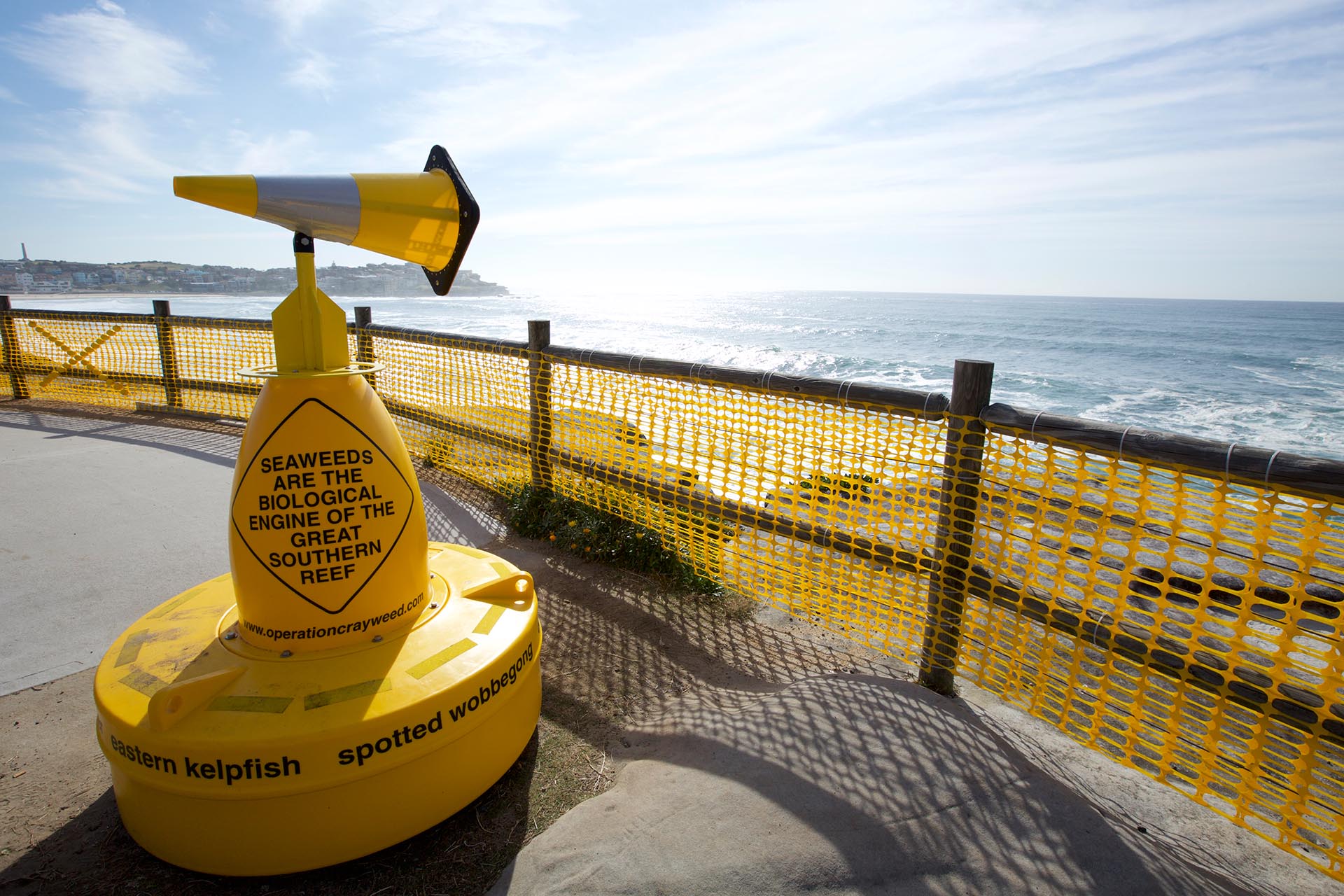 Operation Crayweed Art-Work-Site viewscope at Bondi - photo Ian Hobbs